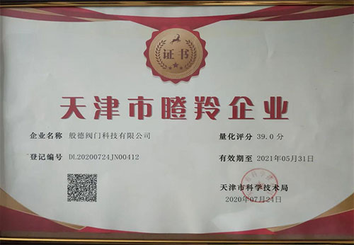 般德閥門