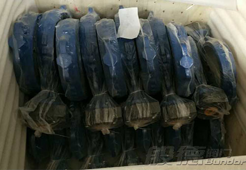 般德渦輪蝶閥、止回閥、過(guò)濾器等出口以色列